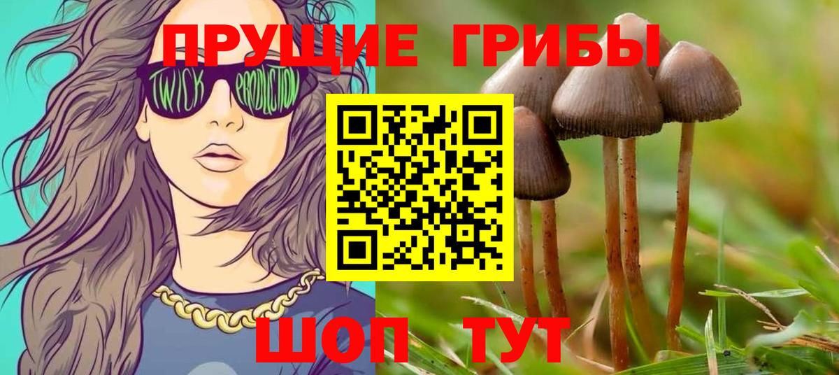 Псилоцибиновые грибы мухоморы  Вход с VPN  Ярцево 